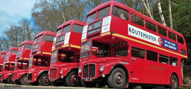 On the Buses On the Buses