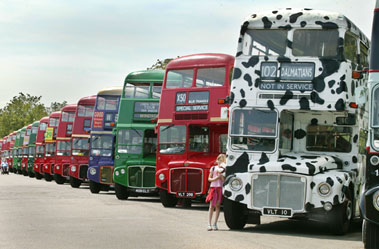 Routemaster bus lineup Routemaster bus lineup